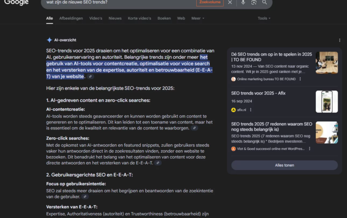 Google AI overzicht