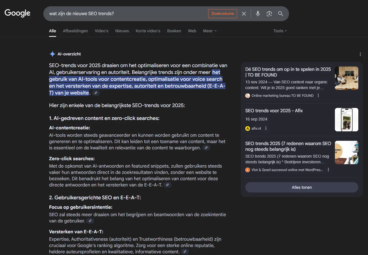Google AI overzicht